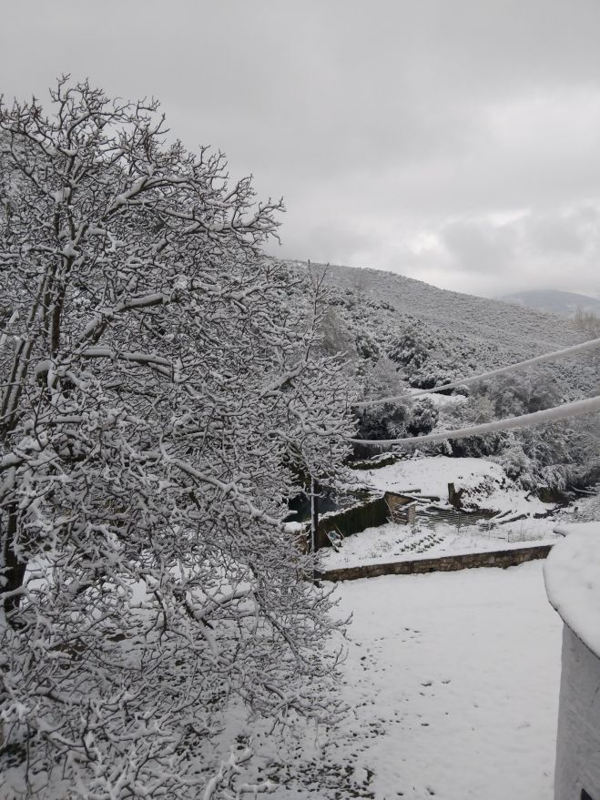 Χιονισμένη η Μονή Καρυάς Κυνουρίας (εικόνες)