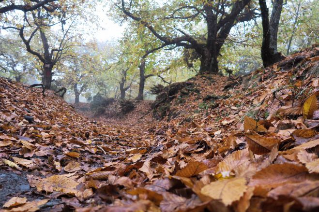 Σαββατοκύριακο | Ιδέες για αποδράσεις στην Αρκαδία (21-22 Οκτωβρίου 2023)