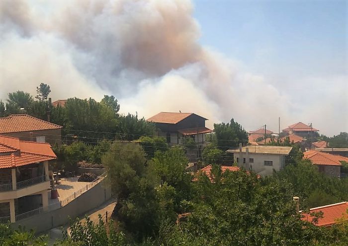 Δήμος Μεγαλόπολης | Το χρονικό της πυρκαγιάς από την αρχή έως σήμερα