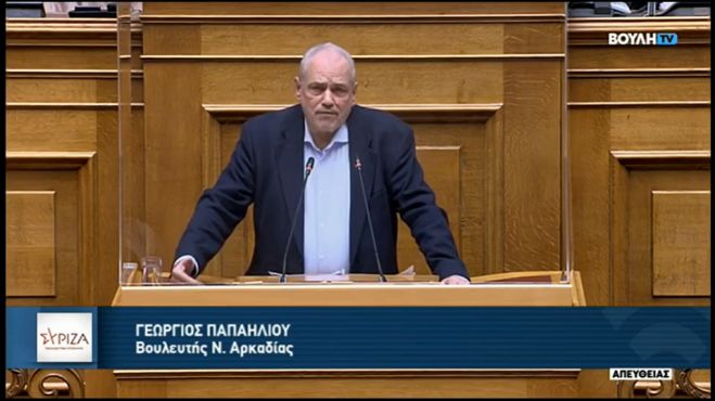 Παπαηλιού: "Η σημαντικότερη άμυνα έναντι του ναζισμού και του φασισμού, δεν μπορεί να αποτελέσει η απαγόρευση συμμετοχής στις εκλογές"