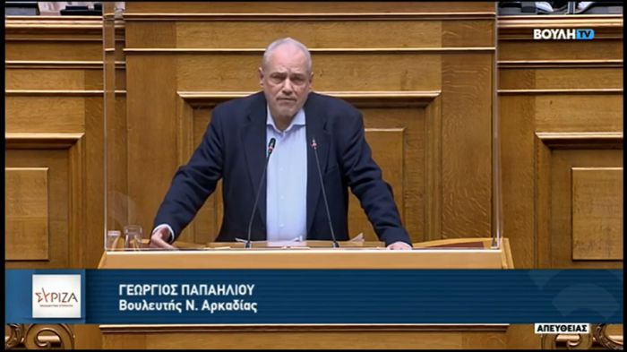 Παπαηλιού: &quot;Η σημαντικότερη άμυνα έναντι του ναζισμού και του φασισμού, δεν μπορεί να αποτελέσει η απαγόρευση συμμετοχής στις εκλογές&quot;