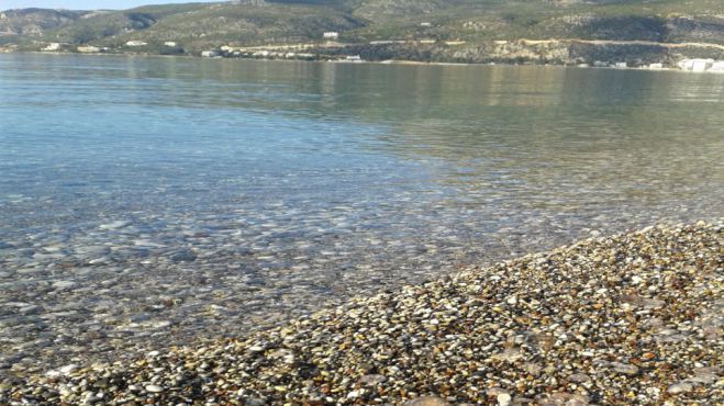 Εξαφανίστηκαν οι τσούχτρες από τις παραλίες στο Λουτράκι