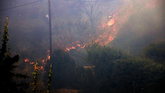 Ολονύχτια μάχη με τις φλόγες στην Μαγνησία - Aναζωπυρώσεις σε Κάρυστο και Ρόδο - Βελτιωμένη εικόνα σε Κέρκυρα και Λαμία