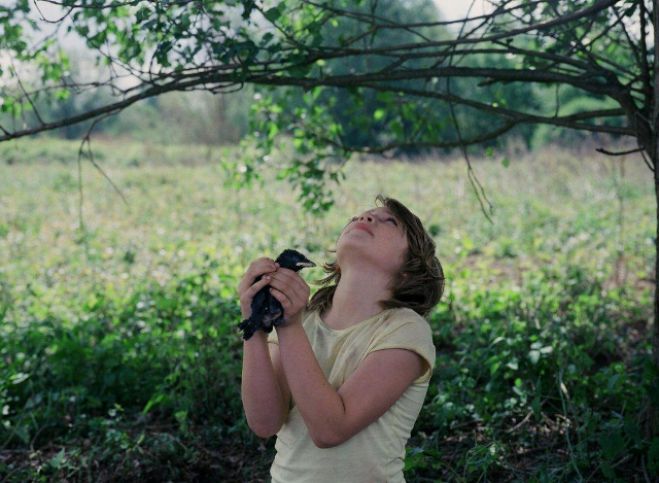 Η παιδική ταινία «Kauwboy: Το αγόρι με την καλιακούδα» στο Μουσείο Υδροκίνησης Δημητσάνας!