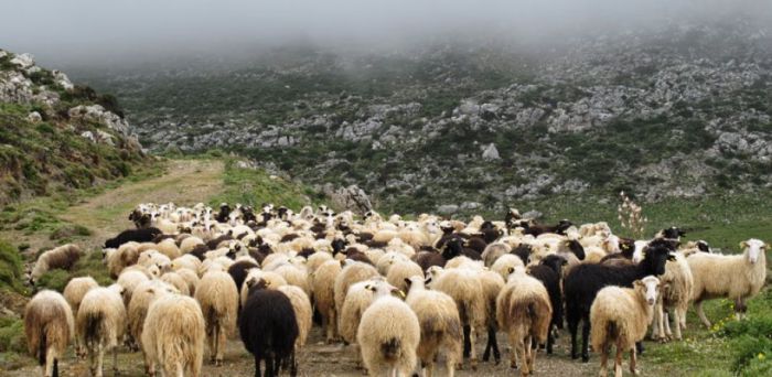 Συνεχίζεται η Απογραφή Γεωργίας - Κτηνοτροφίας 2021