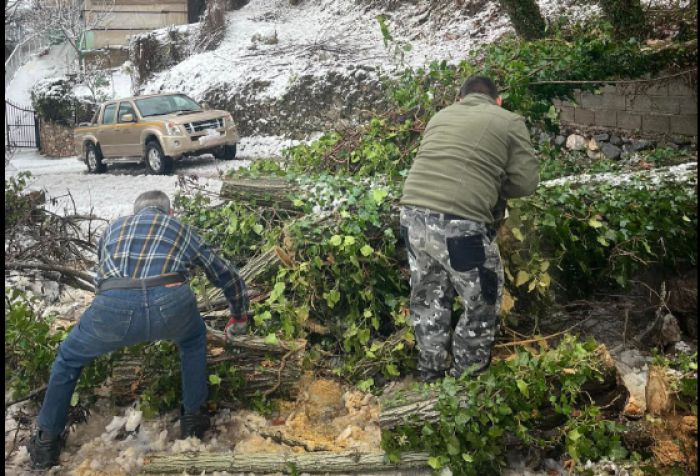 Πτώση ακακιών και μάντρας στα Λαγκάδια - Αποφεύχθηκε ατύχημα, άμεση η επέμβαση του δήμου Γορτυνίας (vd)