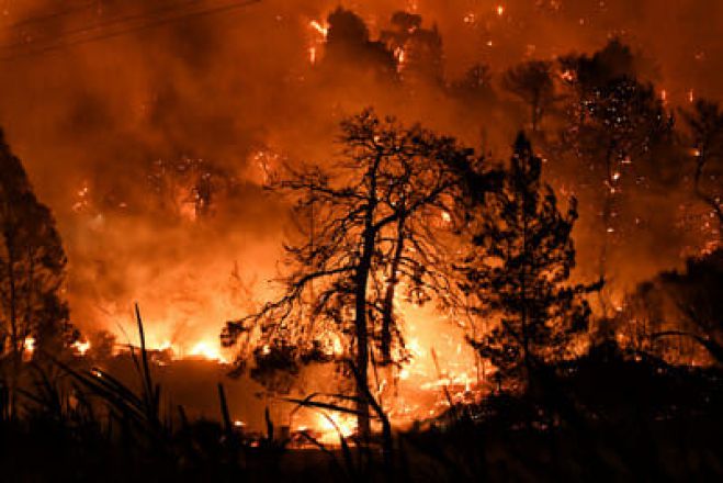 Το χρονικό ενός προαναγγελθέντος θανάτου - Τα βουνά της Κορινθίας εκπέμπουν SOS