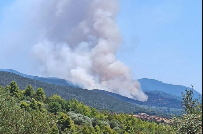 Υπό έλεγχο η φωτιά στα Κακουρέικα Γορτυνίας