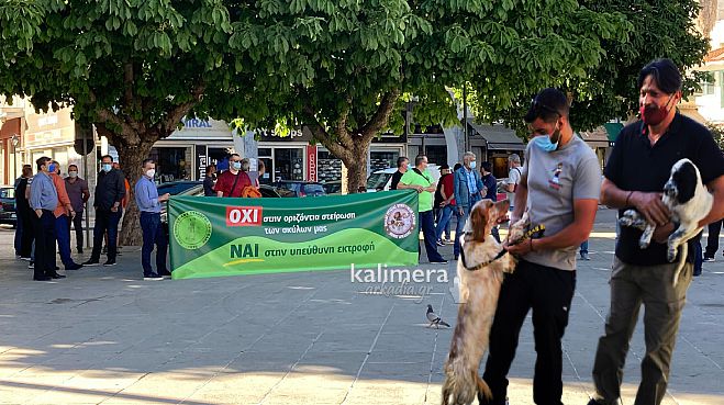 Ξεσηκώθηκαν οι κυνηγοί στην Τρίπολη: &quot;Το νομοσχέδιο είναι ρατσιστικό. Αυτοί δεν είναι φιλόζωοι. Όχι υποχρεωτική στείρωση των ζώων συντροφιάς&quot; (vd)