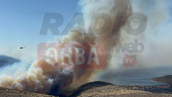 Νεκρός κτηνοτρόφος από τη φωτιά στη Βοιωτία