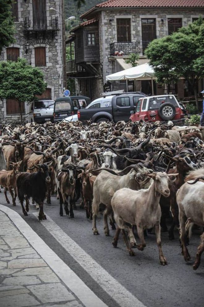 Δημητσάνα | Ποιες υπηρεσίες λειτουργούσαν στις αρχές του 1990 και πόσες έχουν βάλει λουκέτο ως σήμερα!