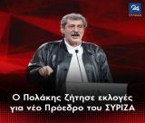 Ο Πολάκης ζήτησε εκλογές για νέο Πρόεδρο του ΣΥΡΙΖΑ