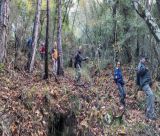 ΣΑΟΟ | Εξόρμηση εκπληκτικής ομορφιάς, στο φημισμένο μονοπάτι της Βλαχοκερασιάς! (εικόνες)