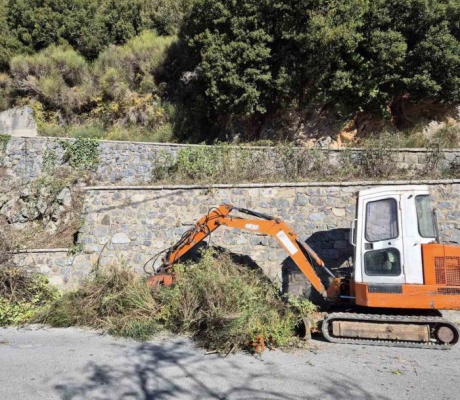 Καθαρίστηκαν δρόμοι στη Στεμνίτσα (εικόνες)