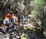Πεζοπόροι του ΕΟΣ Αθηνών περπάτησαν στο Menalon Trail (εικόνες)